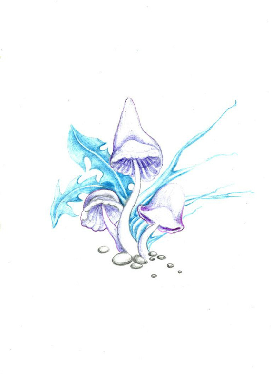lylovye2