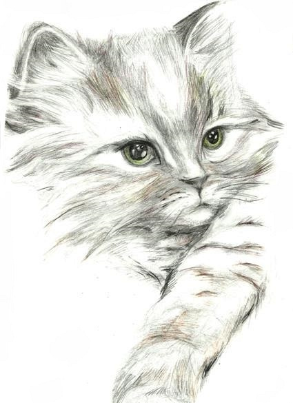 maryshka 001