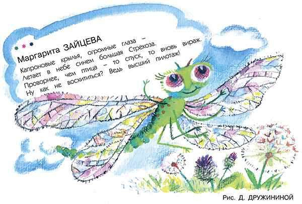 zajceva murz