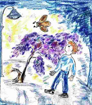 bosykomye3 (1)