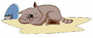Обед кота