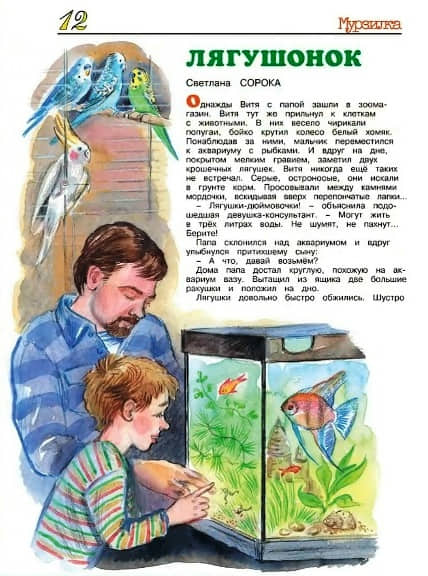 16Мшарк