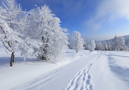 с22.01.01 2